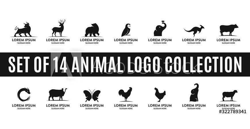 Animal Logo Template Collection