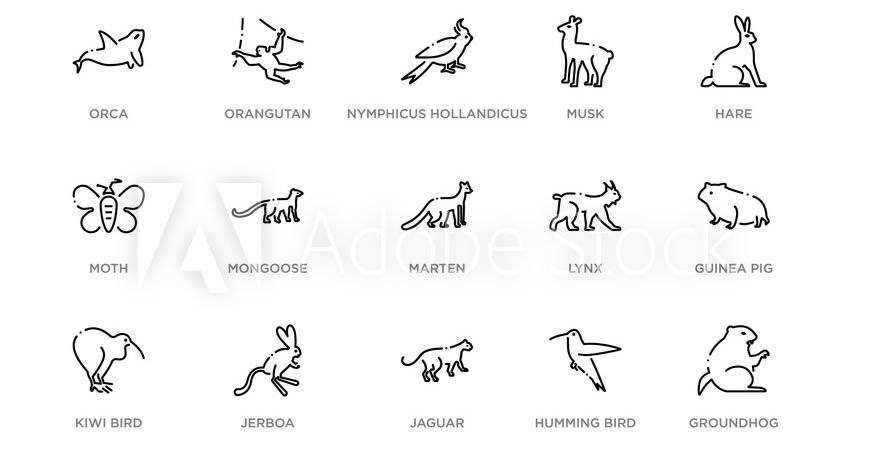 Animals Wildlife Icon Logo Templates