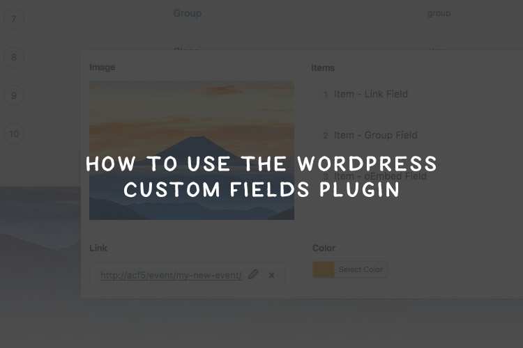 How to Use the WordPress Custom Fields Plugin