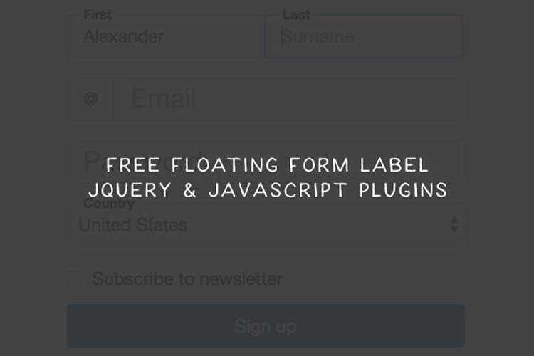 9 Free Floating Form Label jQuery & JavaScript Plugins