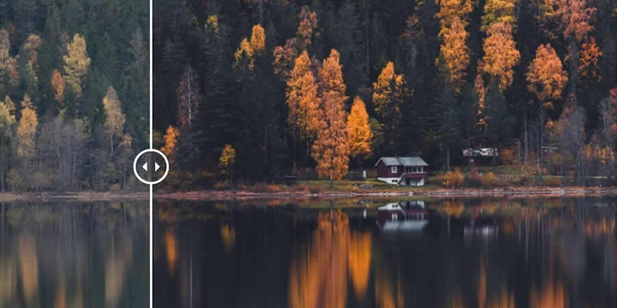 Autumn Forest Desktop Mobile free lightroom presets addon