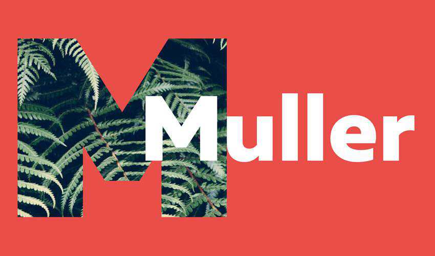 Muller free minimal font design typecase typography