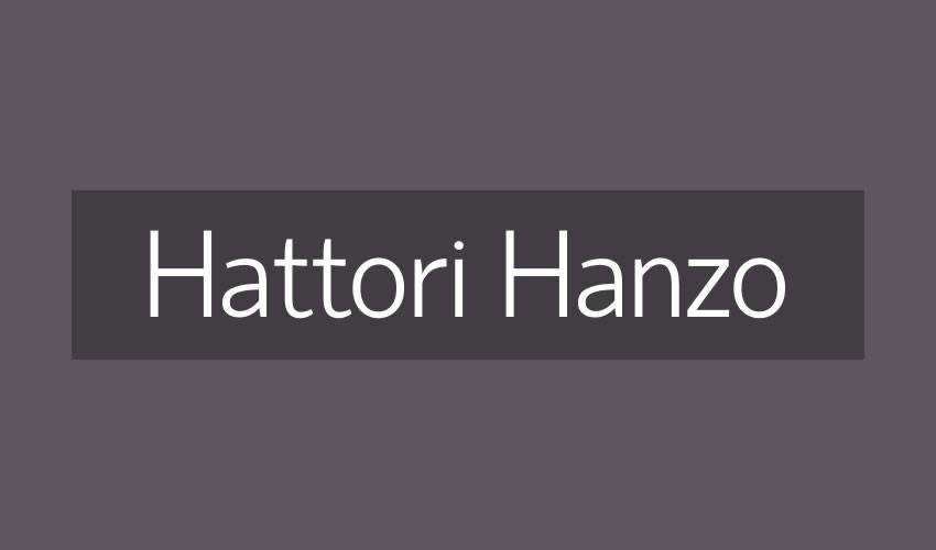 Hattori Hanzo free minimal font design typecase typography