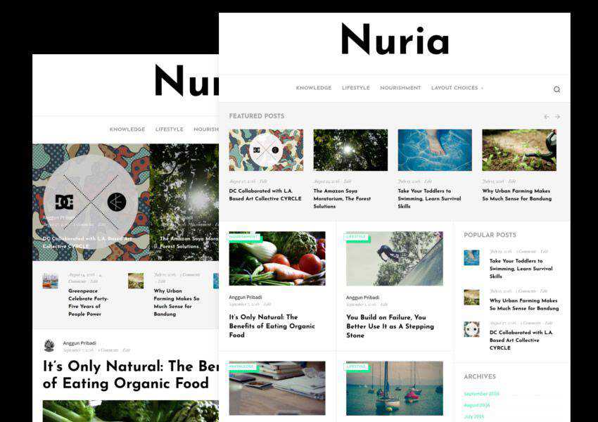 Nuria free wordpress theme wp responsive personal blog blogger blogging