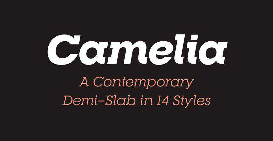 RNS Camelia free title headline typography font typeface