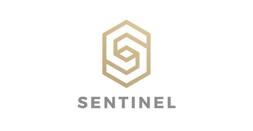 Luxury s Geometric Letter geometric logo template