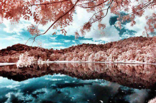 30 Beautiful Examples of Infrared Photography