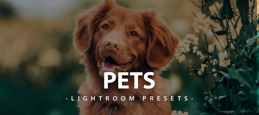 Pets free lightroom mobile preset dng xmp