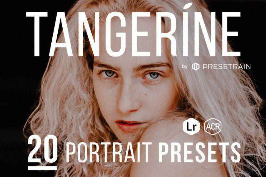 Tangerine Portrait Presets for Lightroom