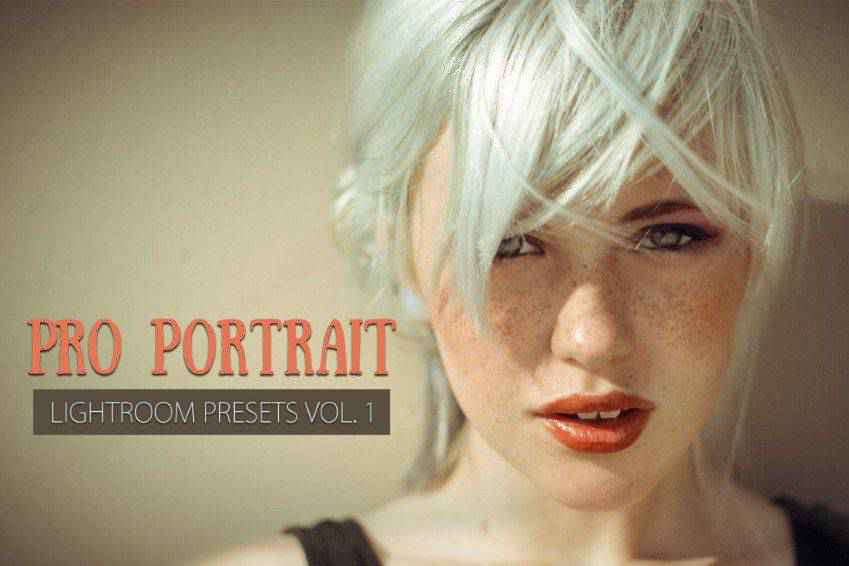 10 Portrait Lightroom Presets Ver.1
