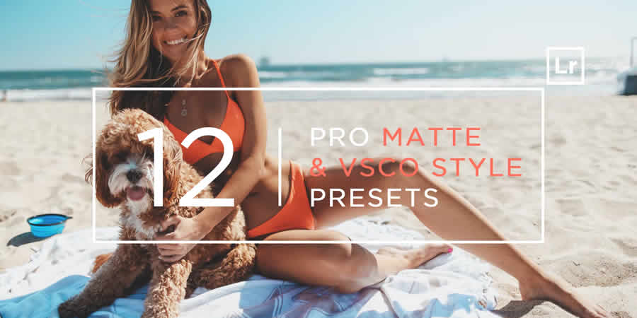 Pro Matte & VSCO Style Lightroom Presets