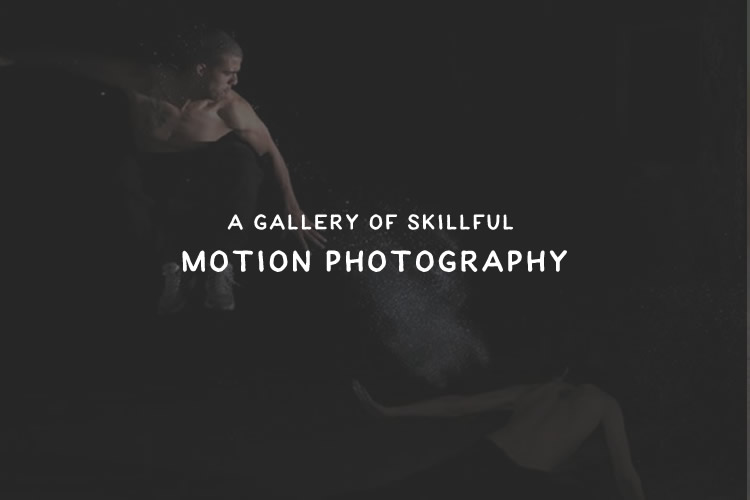 A Gallery of Skillful Motion Photography