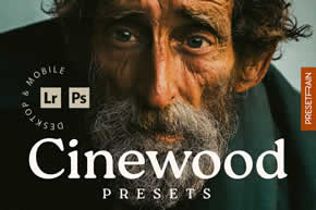 Cinewood Cinematic Presets