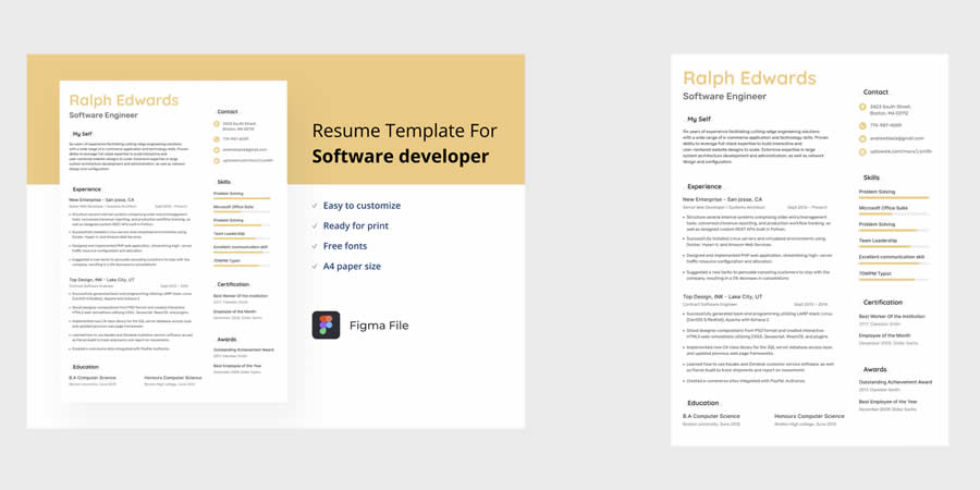 Software Developer Resume CV Template Job Application Figma Design