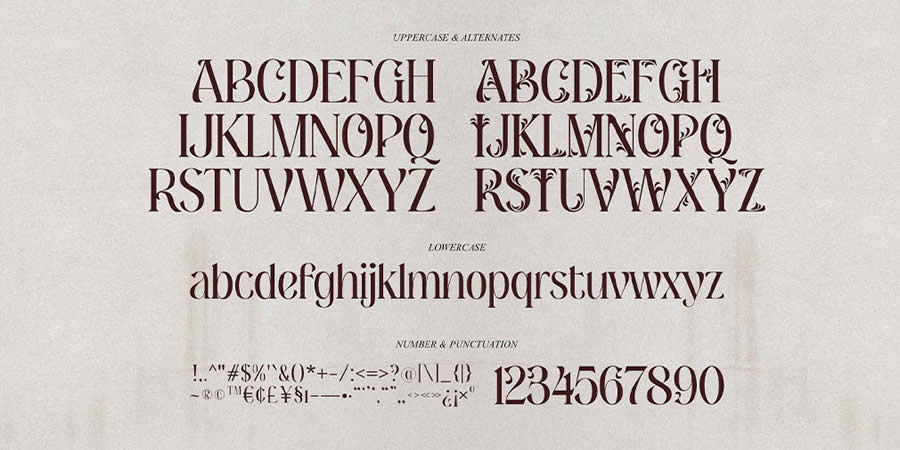 Romancio Romantic is a top free serif font family for designers