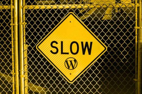 What’s Slowing Down Your WordPress Website?