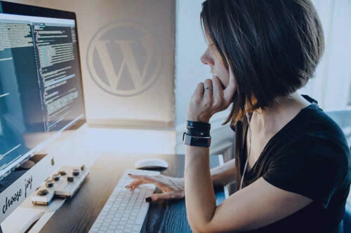 Why Most WordPress Websites Should Be Maintained by a Professional