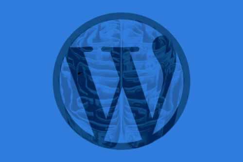 Are Low-Cost WordPress Projects Worth Your Time?